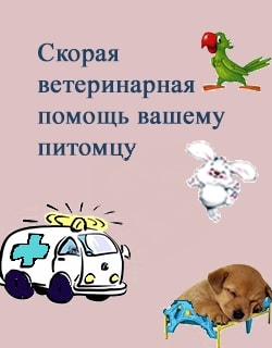 болезни